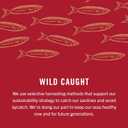 King Oscar Wild Caught Sardines in Extra Virgin Olive Oil, Hot Jalapeno Peppers, 3.75 Ounce (Pack of 12) (3480000656) (EXP 01/15/31)