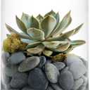 CYS Excel Large Clear Glass Cylinder Vase (H:12" D:10") Flower Vase Centerpieces Hurricane Floating Pillar Candle Holder Terrarium Planter