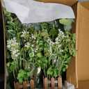 Ling's Moment 17.5" Tall Free-Standing Artificial Flowers Arrangements 4 pcs Wedding Aisle Runner Chair Decorations White & Green Centerpieces for Ceremony Reception Rose Floral Party Outdoor