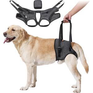HEYWEAN Dog Sling for Large Dogs Hind Leg Support Harness Ideal for Elderly Injured Arthritic Dogs Provides Rehabilitation Aid for Weak Back Legs Comfortable and Durable Design (Grey) XL