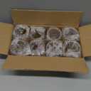 8Pcs Large Votive Candle Holders Gold Tea Light Candle Holders Glass Candle Holder for Wedding, Bridal Shower,Table Centerpiece,Party, Home Decor