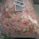 YRIOWMI 10PCS 59FT Artificial Silk Cherry Blossom Garland, Hanging Sakura Flower Vines for Wedding Party Home Arch Office Sakura Decor (Light Pink)