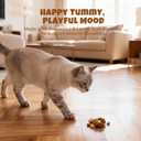 Havira Healthy Lickable Creamy Cat Treats Digestion Support  Chicken Recipe Squeeze Treats with probiotics & Lactic Cultures, Creamy Functional Snacks for Gentle Digestion & Daily Comfort, Grain Free