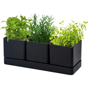D'vine Dev Herb Garden Planter Set, Plastic Plant Pots with Drainage and Saucer, Indoor Succulent Cactus Vegetable Pot for Windowsill, Garden Balcony, Black, Set of 1, 76-V-B-1