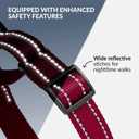 CollarDirect Reflective Martingale Dog Collar Nylon Heavy Duty Training Pet Collars for Small Medium Large Dogs Puppy Black Blue Mint Green Red Pink Purple Dark Red (L, Neck Size 16"-24", Dark Red)