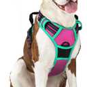 rabbitgoo Dog Harness No Pull with 2 Leash Clips, Adjustable Soft Padded, Reflective Oxford No Choke Pet Vest with Easy Control Handle for Large Dogs, Hot Pink & Turquoise, L