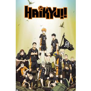 Trends International Haikyu!! - Key Art Wall Poster, 34L x 22.4W, Unframed Version