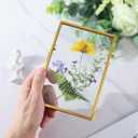 REDHUGO Glass Pressed Flower Frame Handmade, Floating Picture Frames for Pressed Flowers, Tabletop Artwork Photo Frames, Brass Desk Picture Frame for Home Office Plant Specimen, Gold, 4x6 Inches