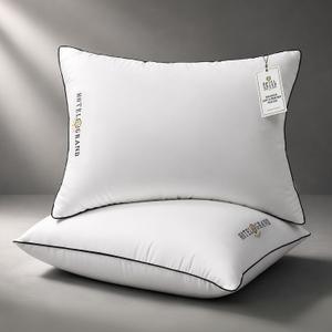 Hotel Grand Bed Pillows Queen Size Set of 2, Medium Soft Down Alternative
