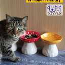 Elevated Mushroom Cat Bowls Ceramic, Raised Cat Bowls for Indoor Cats, Cute Whisker Fatigue Cat Bowl, Raised Dog Bowl Stand for Food and Water, Black 6" Wide for Adult Cats