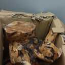 Mushroom Side Table, 18.9 inch Tall Live Edge Wood Stool, Freeform Natural Plant Stand for Garden, Yard, Living Room, Bedroom