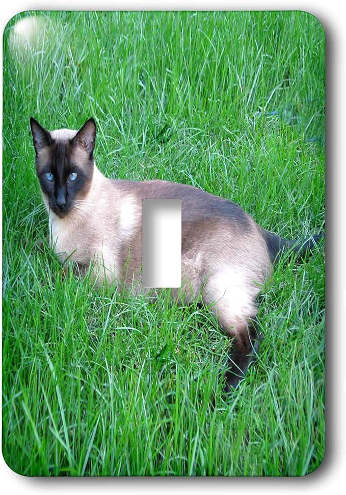 3dRose lsp_4495_1 Siamese Cat Single Toggle Switch