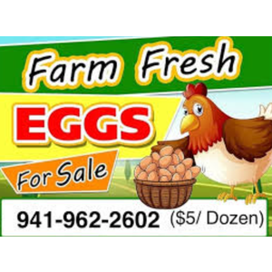 Fresh Eggs for Sale Sign, 18x24 DS Coroplast, Large Outdoor Farm Fresh Eggs Sign with Blank Space for Personal Info Pack Of 6