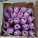 20pcs Tulip Bouquet Lamp Artificial Flower Night Light Real Touch Tulip Night Lamp LED Flower Light Home Kitchen Decor(Purple)