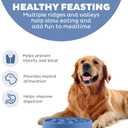 Outward Hound Fun Feeder Slo Bowl Large 4Cup Capacity, Slow Feeding, Medium to Large Dogs, NonSlip, Blue, Notch Pattern