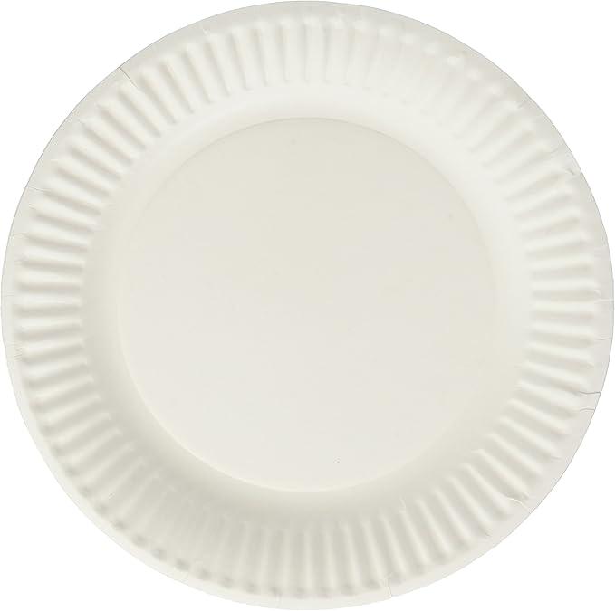 9'' White Paper Plates, 12/100ct