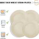 Wrova Wheat Straw Dinner Plates 9 Inch Unbreakable Set of 8 - Dishwasher & Microwave Safe Plastic Plates Reusable - Lightweight Plates for kitchen,camping,salad,appetizer - Beige
