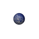 Liliful 48 Pieces Motivational Stress Balls Bulk for Adults Fidget Toys End of The Year Gifts Inspirational Squeeze Balls Employee Appreciation Gift Adult Goodie Bag 2. 2 Inch(Blue)