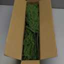 Artificial Christmas Norfolk Pine Stems Branches for Vases,12 Bundles Faux Pine Branches with 5 PCS Big Fake Pinecones Stems Greenery Evergreen Real Touch for Holiday Winter Table Xmas Decor