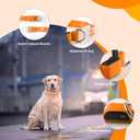 6 x LED Dog Collar, Light Up Dog Collar, Lighted Dog Collars Adjustable for Night Walking, Glow in The Dark Dog Collars Light with USB Rechargeable Color Changing Waterproof for Dogs (Orange, Small)