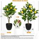2Ft Artificial Lemon Trees, 2 Packs Large Artificial Plants Indoor with Black Pots Faux Potted Citrus Trees Fake Floor Plants Lemon Decorations for Home Living Room Office, Bedroom Table, Desk