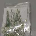 Tinideya 100 Pcs Dried Babys Breath Flowers Bulk Babys Breath Real Pressed Flowers Natural Gypsophila for Resin Wedding Art Craft Baby Shower DIY Invitations Scrap Booking Card Making(Ivory White)