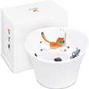 Elevated Cat Bowls for Water  Raised Bowl for Indoor Cats  Whisker & Neck Fatigue Shallow Cat Dishes  Vet-Recommended Height, Modern Pedestal Design  Non-Slip & Dishwasher-Safe  8 oz Original