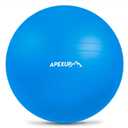 APEXUP Yoga Ball, 660 lbs Anti-Burst Exercise Ball with Pump, 5 Sizes (M (19"~22'') 55cm, Blue)
