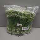 120 Pcs Babys Breath Artificial Flowers, White Babys Breath Flowers Artificial Bulk Real Touch Flowers for Wedding Party Home Garden Decoration