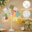 EAMBRITE Money Tree Gift Holder, Lighted Birch Tree 2FT 24LED, Battery/USB Powered Timer Light Up Display Twig Gift Card Tree with 12 Clear Clips and 6 Cards for Home Christmas Graduation Photo Memo