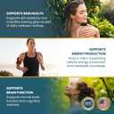 Vykee Nutrition Niacinamide Capsules - Vitamin B3 Supplement 500 mg, BB: 10/27