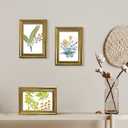 BESCRCL 5x7 Picture Frame Gold with Real Glass, Ornate Vintage 5 x 7 Photo Frames for Wall and Tabletop Display, Set of 4