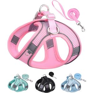 SOLMOONY Dog Harness for Small Medium Dogs No Pull, Puppy Harness and Leash Set, Puppy Harness for Small Dogs, Step in Harness for Small Dogs, Small Dog Harness, Mesh Dog Harness. (Pink, M) JJSS032