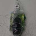 Orbit 58573N H2O-Six Gear-Drive Sprinkler on Metal T-Spike