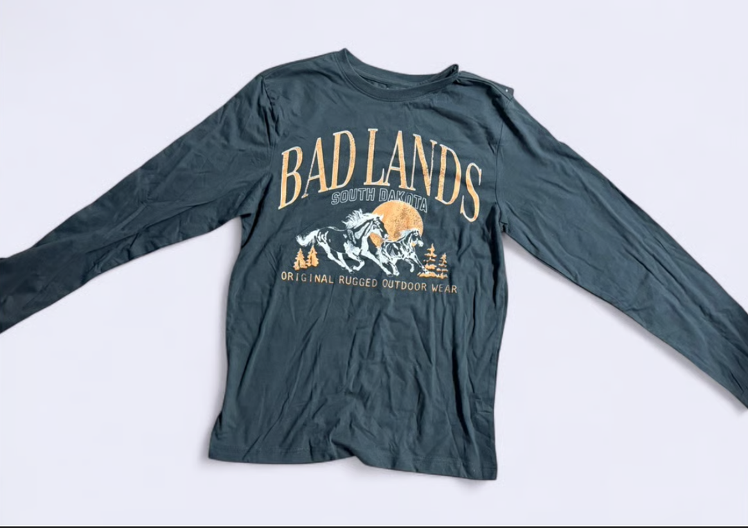 Bad Lands South Dakota Long Sleeve T-Shirt Men Size Small Gray