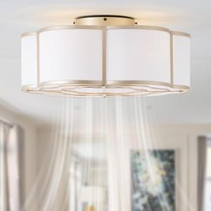20" Boho Ceiling Fan with Lights Flush Mount, Gold Ceiling Fans with Lights Remote Control, Caged with 6 Speeds for Bedroom, Living Room, Nursery