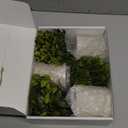 Der Rose 3 Pack Mini Potted Fake Plants Artificial Plastic Eucalyptus Plants Topiaries for Home Office Desk Farmhouse Shelf Room Bathroom Decor(Green)