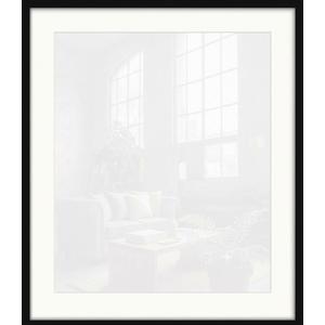 Gallery Wall Hanging High-Clarity Clear Panel, Horizontal & Vertical Display, Versatile for Poster Canvas Certificate, Size 22 x 24 inches