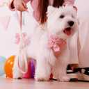 Didog Cute Small Dog Harness Collar and Leash Set with Bowtie, Breathable Soft Mesh Padded Puppy Harness, Pink Dog Harness for Parties, Holiday Gatherings & Gifts, Pink, S (S: Chest 11.8-15.4", Fit 4-8 lbs)