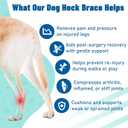 Dog Leg Braces for Back & Front Legs- Dog Hock & Ankle Joint Brace for Weak Back Legs with 2 Metal Strips, Reflective Trim for Sprain, Injury, Arthritis, Wound Recovery,Blue,S