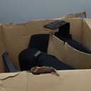 HON Crio Ergonomic Office Chair, High Back Task Chair with Adjustable Arms, Lumbar Support, 360 Swivel, Center-Tilt Recline, for Desks, Computers, Home Office, Black