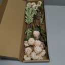 Floroom 5pcs Beige Faux Silk Mums Artificial Flowers, Bulk Fake Small Mini Chrysanthemums with Stems for DIY Champagne Wedding Centerpieces Floral Arrangements Vase Fillers Home Decorations