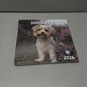 4 x windrio 2026 Wall Calendar, Calendar 2026, July 2025 - December 2026, Wall Calendar Maltese, 12" x 24" Opened,Full Page Months Thick & Sturdy Paper for Calendar Organizing & Planning