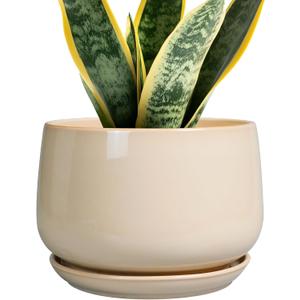 G EPGardening Ceramic Planter - 7 Inch Plant Pots with Drainage and Ceramic Tray, Flower Pots for Indoor Plants, Round Outdoor Planter, Room Decor, Gifts for Plant Lovers, Beige