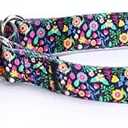 Serijoars Adjustable Martingale Dog Collar Heavy Duty Nylon Dog Collar for Medium Large Dogs Walking Training Boy and Girl Dogs (L, Strawberry Flowers),2 pcs