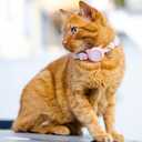 Cat Tracker Collar Breakaway Waterproof with Airtag Holder, Pet Cat Tracking Collar (Pink)