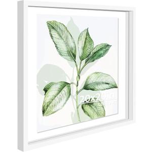 CORE ART 20x20 Floating Picture Frame, White