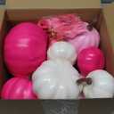 Breast Cancer Awareness Decorations 9 Pcs Pink Artificial Pumpkins 50 Pink Ribbon Satin Pins Rose Red Faux Foam Pumpkins for Women Charity Event Survivor Campaign Favors Supplies