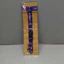 Desert Cactus Sacramento Kings Lanyard Keychain Detachable NBA Breakaway Snap Buckle National Basketball Association Car Keys ID Badge Holder (Lanyard 3)