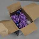 Clearblue Advanced Digital Ovulation Test Kit, 32 Count